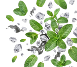 Menthol & Ice