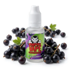 Blackcurrant Flavour Concentrate by Vampire Vape