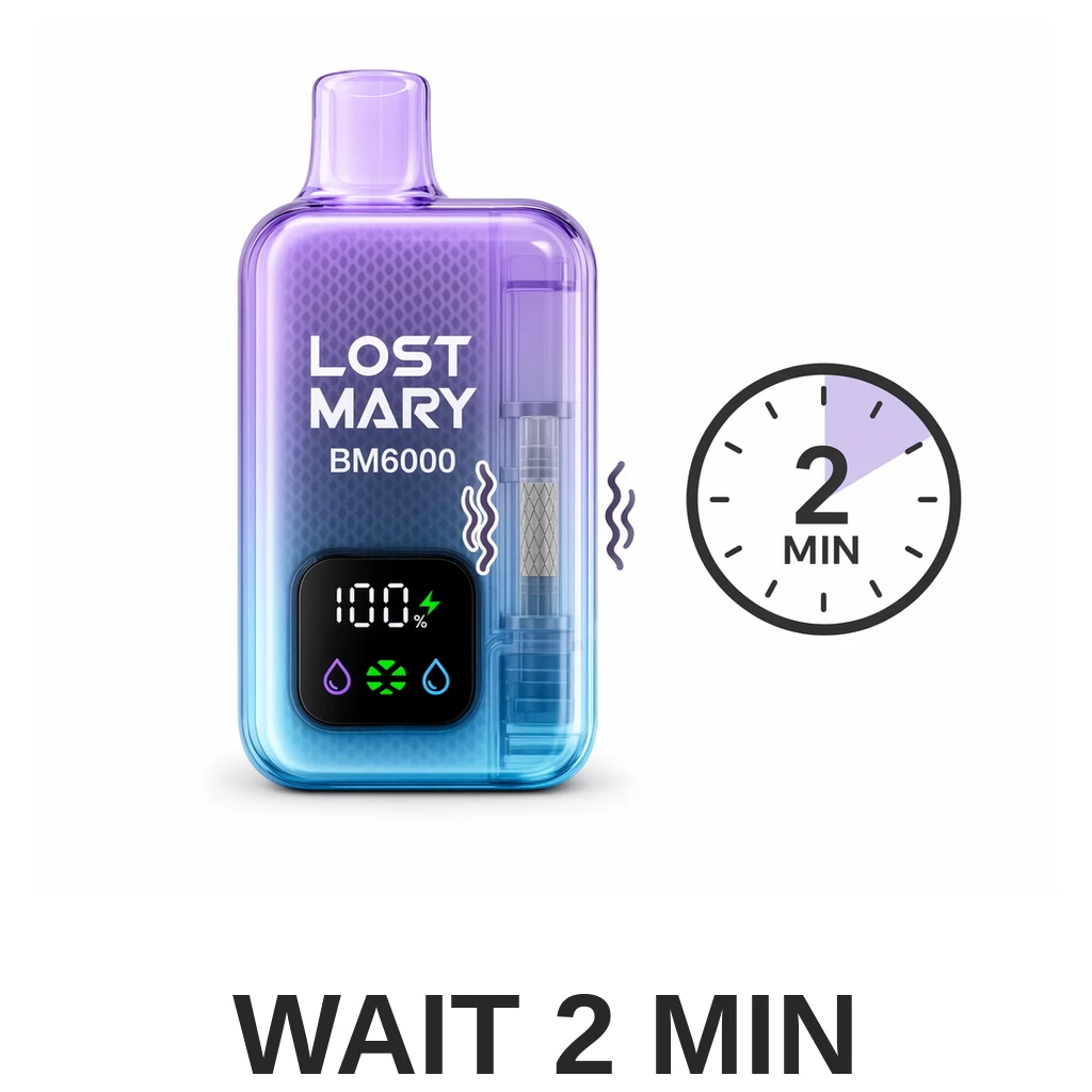 Lost Mary BM6000 Pod Kit Step4