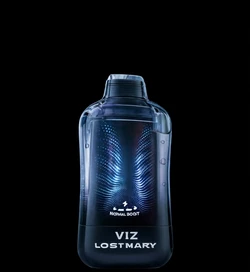 Lost Mary VIZ 55K vape device